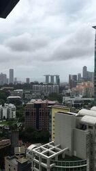 The Suites At Central (D9), Condominium #580005141